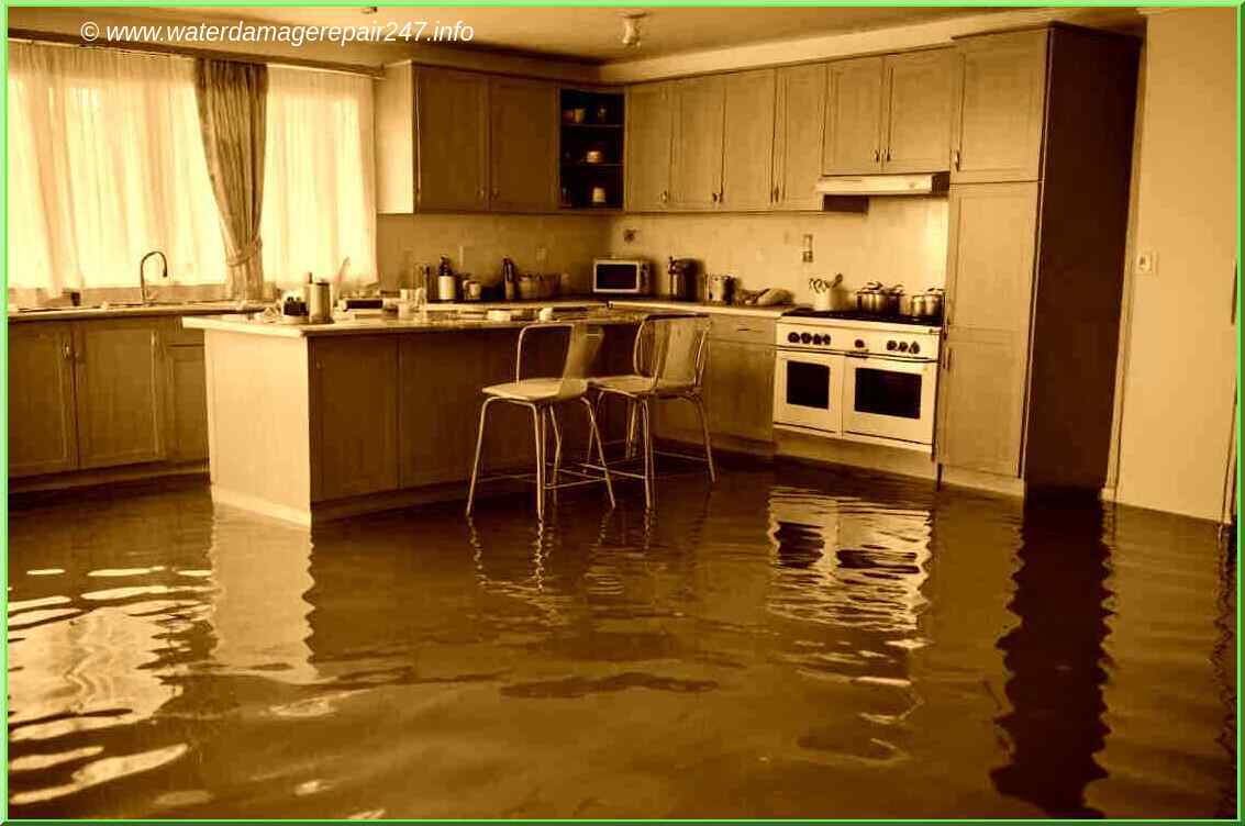 Professional Assessment of Attic Air Leaks: Preventing Ice Dams and Potential Flood Damage - 24 Hour Water Restoration