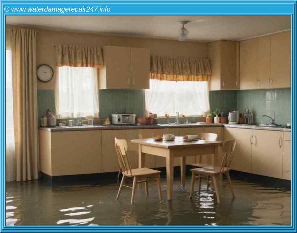 How to Safely Remove Mold and Mildew Stains While Preserving Document Integrity - 24 Hour Water Restoration